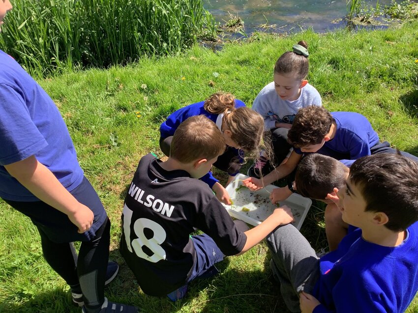 Image of Year 5 River Stour Visit